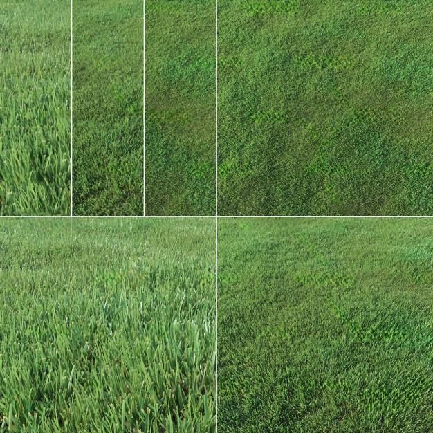 草坪草地组合3D模型